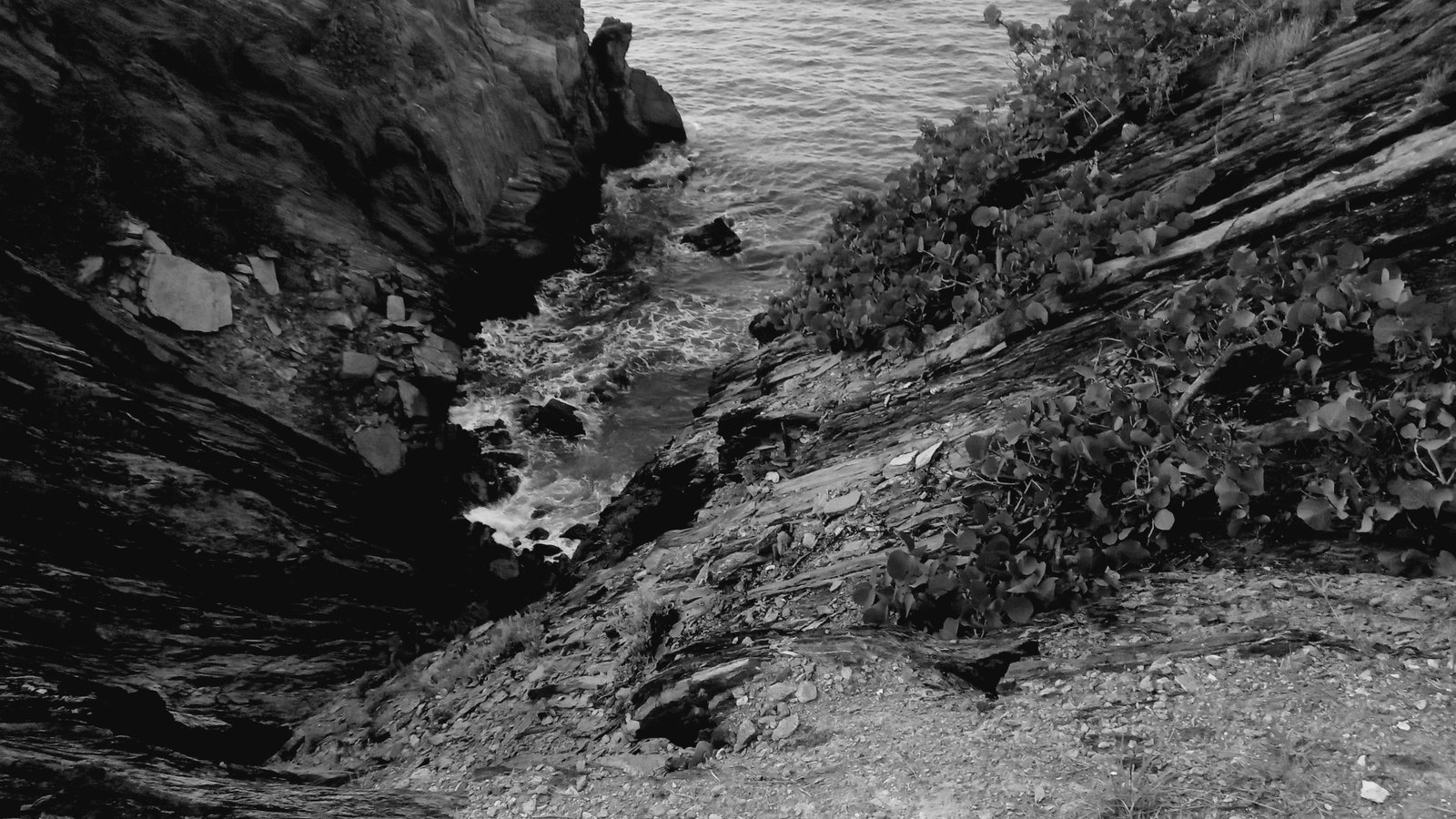 Fotografía & Videografía — Producto