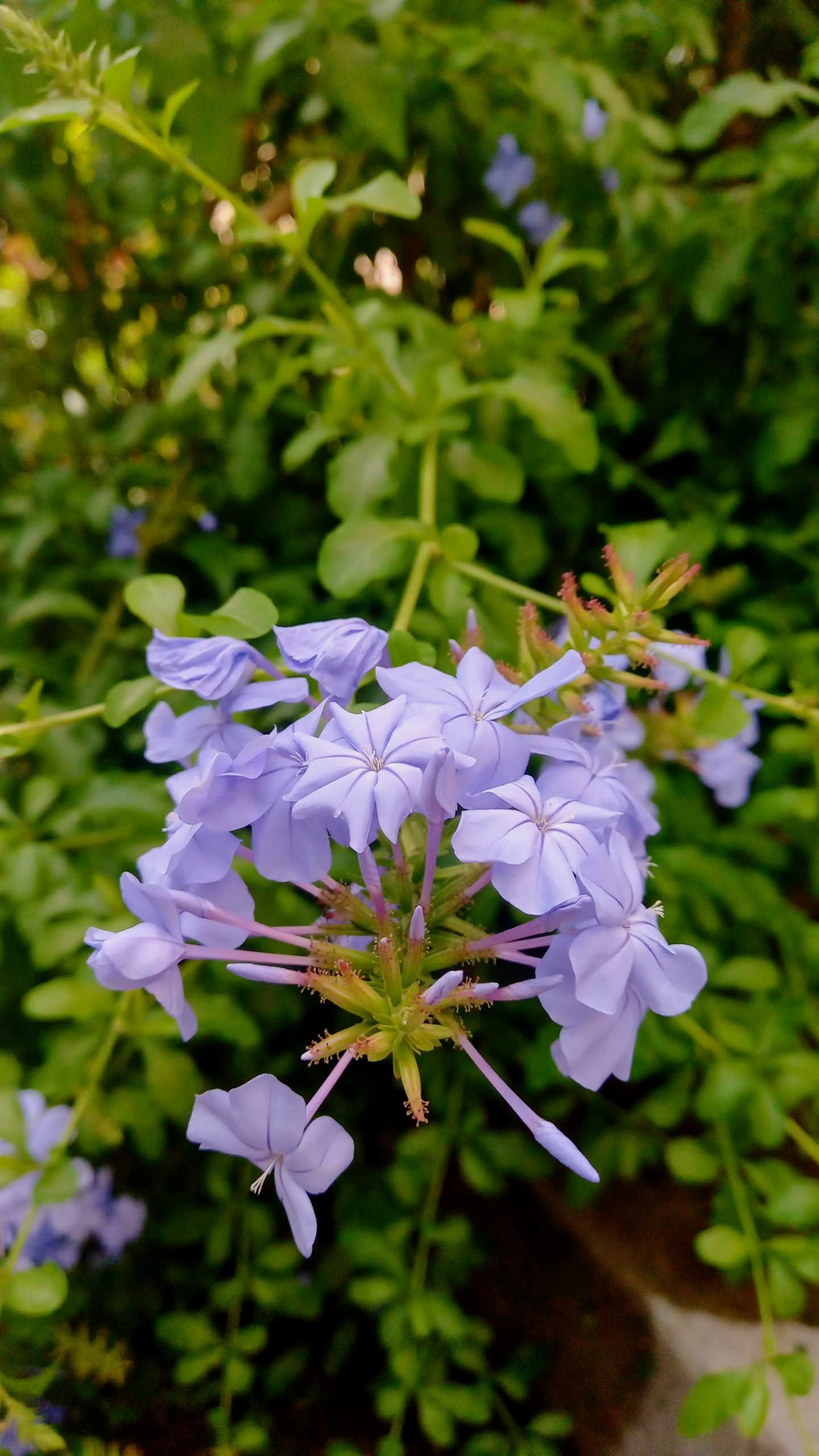 Fotografía & Videografía — Producto